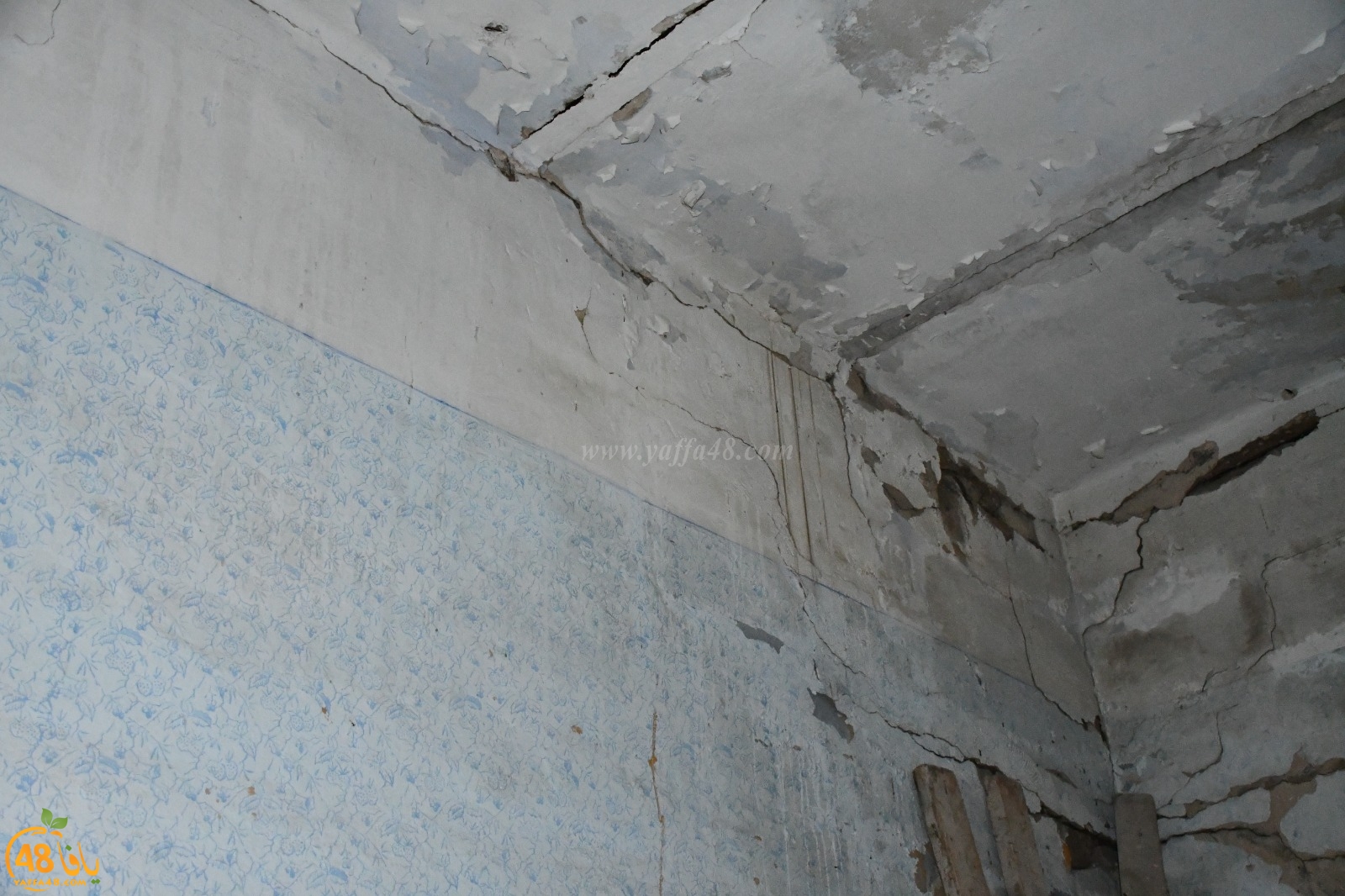 WhatsApp Image 2020-02-10 at 11.22.47 AM (2).jpeg.jpg.jpg